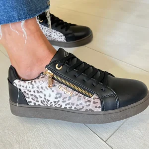 Lloyd & Pryce Ladies Safari Stealth Laced/Zip Gum Sole Trainer FLUCHER